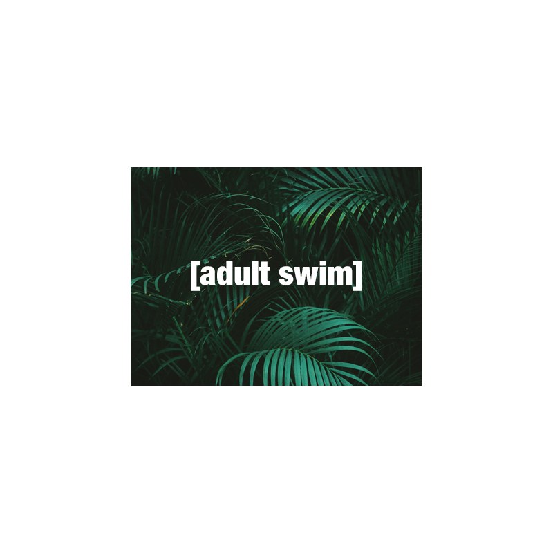 Adult Swim